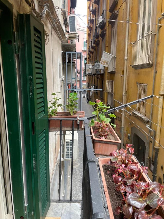 Hébergement de vacances Le Di Ginevra Naples